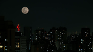 Acredita-se que sua medida esteja entre 53 e 67 metros, o que equivale à altura aproximada de um edifício de 15 andares. - Paulo Pinto/Agência Brasil