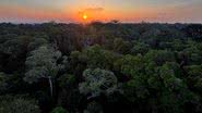 De acordo com estudo, o planeta pode enfrentar uma extinção em massa, similar à do Período Permiano. - Tânia Rêgo/Agência Brasil