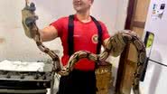 Cobra peçonhenta é capturada em propriedade rural - Corpo de Bombeiros