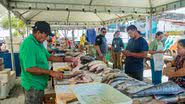A Feira do Peixe é uma alternativa prática para quem deseja garantir o pescado fresco e de qualidade para as celebrações da Semana Santa. - Divulgação