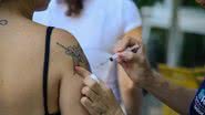 A maior parte dos casos prováveis de dengue em 2025 ocorre entre pessoas com idade entre 20 e 29 anos - Tomaz Silva/Agência Brasil