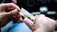 Estudo analisou dados de 6 milhões de pessoas e encontrou ligação entre uso de cannabis e problemas de saúde graves. - Divulgação