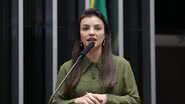 Deputada federal Marussa Boldrin (MDB-GO) - Reprodução/Internet