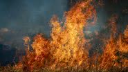 Imagem Incêndios em vegetação e queimadas crescem 200% no RN