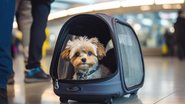 A proposta inclui a possibilidade de transporte na cabine e define a responsabilidade das empresas em casos de lesão ou morte dos animais. - Divulgação
