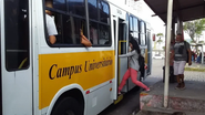 Foto: Reprodução.