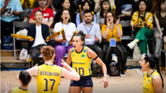 Brasil vence Polônia e assume vice-liderança - Reprodução