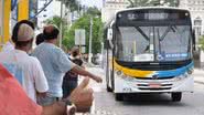 Foto: Reprodução.