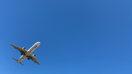 Reprodução/ Unsplash