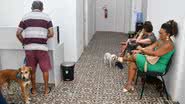 O hospital, que funciona de segunda a sexta, é uma alternativa viável para tutores que buscam atendimento de qualidade para seus pets. - Divulgação