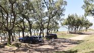 Com uma infraestrutura completa, o Costeira Parque terá quadras de areia, pista de skate e patins, academia ao ar livre e playground infantil - Elisa Elsie/Arquivo Assecom