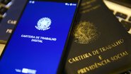Reprodução/Agência Brasil - Marcelo Camargo