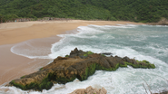 Reprodução/ Unsplash