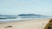Reprodução/ Unsplash