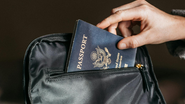 Reprodução/ Pexels