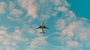 Reprodução/ Unsplash