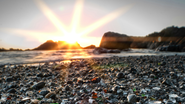 Reprodução/ Unsplash