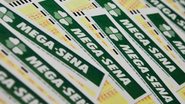 Mega-Sena sorteia prêmio de R$ 95 milhões neste sábado (25); veja como apostar