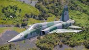 Caça F-5 da Força Aérea Brasileira - FAB