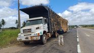 Segundo a PRF, o aumento do fluxo de caminhões durante o período da safra eleva o risco de acidentes - Divulgação/PRF