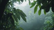 Reprodução/Freepik