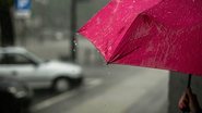 Reprodução/Unsplash
