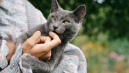 Reprodução/Pexels
