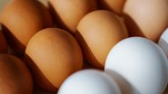 Reprodução/Pexels