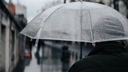 Reprodução/Pexels