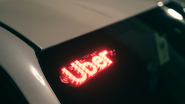 Reprodução/ Unsplash