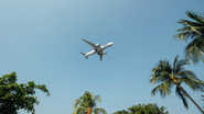 Reprodução/ Unsplash