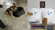 Imagem Alemão é preso por tráfico internacional de drogas no aeroporto de Natal