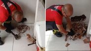 Divulgação/Corpo de Bombeiros