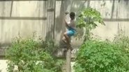 Reprodução