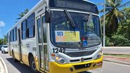 Ao todo, a operação especial mobiliza 50 ônibus, com 53 viagens por noite - Imagem: STTU