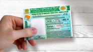 Mesmo com a flexibilização, os requisitos obrigatórios continuam - Reprodução/Carros IG