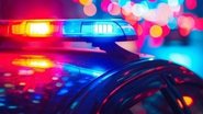A partir da nova violação, a autoridade policial responsável solicitou a prisão - Reprodução/Internet