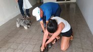 Dois morcegos positivos para o vírus rábico foram identificados, levando a Secretaria de Saúde a intensificar ações de imunização na região - Reprodução/Prefeitura do Natal