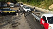 A prisão foi possível graças à troca de informações entre equipes da PRF do Rio Grande do Norte e do Piauí - Divulgação/NUCOM-RN
