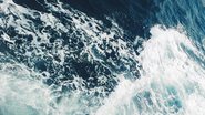 Reprodução/Pexels
