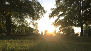 Foto: Unsplash