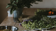 Foto: Unsplash