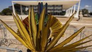 Corte vai ouvir sustentações orais das partes envolvidas - Foto: Joêdson Alves/Agência Brasil