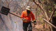 Reprodução/Assessoria Bombeiros