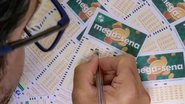 Imagem: Rafa Neddermeyer/Agência Brasil/ARQUIVO