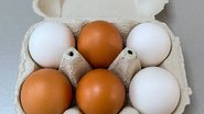 A variação que muitas pessoas dizem sentir costuma estar relacionada a outro fator, quqe é a alimentação da galinha - Reprodução/Pexels