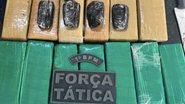 Divulgação/PMRN