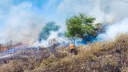 O Corpo de Bombeiros reforça que incendiar vegetação, mesmo em áreas aparentemente isoladas, é prática proibida - Divulgação/CBMRN