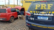 Um dos automóveis recuperados pelos agentes - Divulgação/PRF