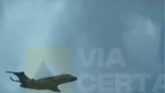 Imagem: Reprodução